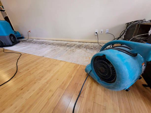 Professional Sewage Cleanup technician working in Delaplane, VA